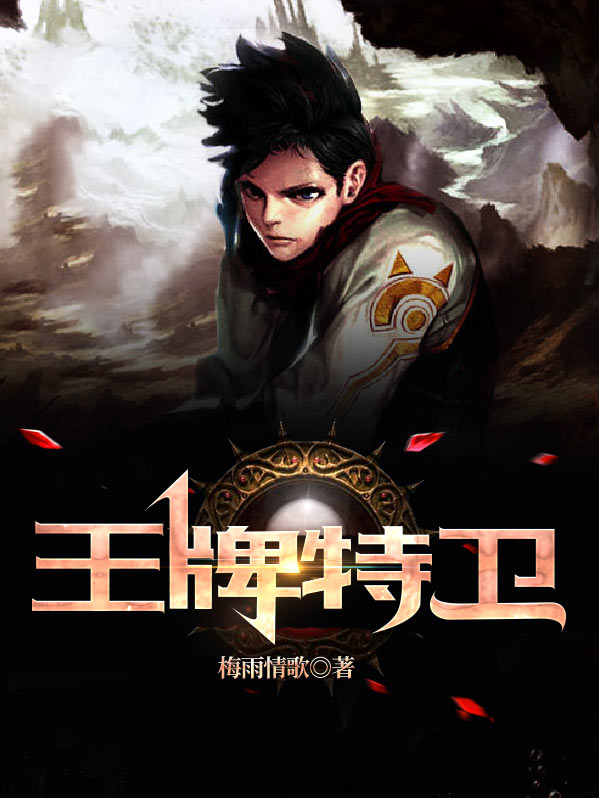 王牌特卫韩国