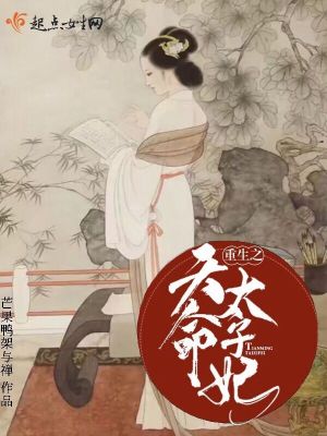 天命太子妃电视剧