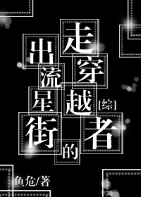走出流星街的穿越者鱼危