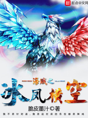 海贼之冰凤横空 小说