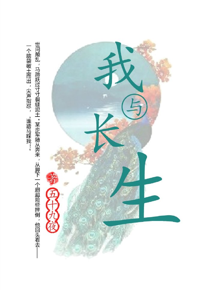 我与长生小说