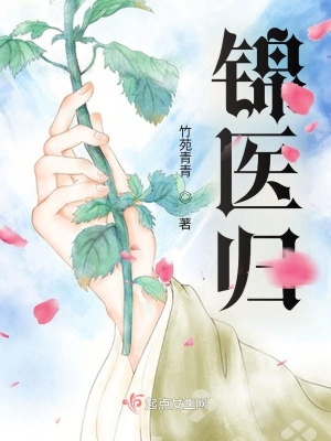 锦医归 小说