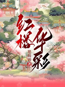 红楼华彩无防盗