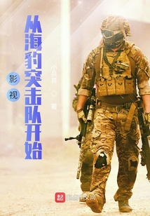 影视从海豹突击队开始无防盗