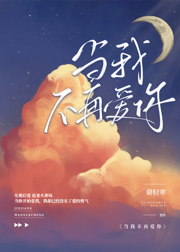 当我不再爱你小说骆轻寒