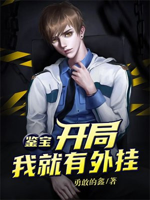 鉴宝我有面板txt