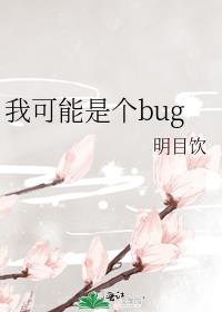 我可能是个bug格格党