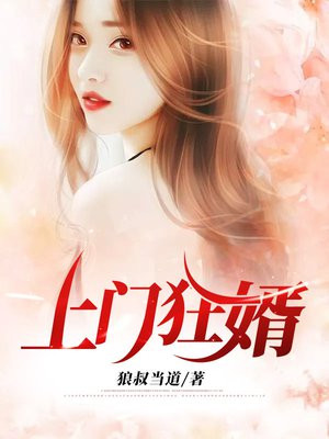 上门狂婿叶锋老婆
