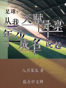 足球天才的小说