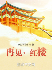 再见,红楼 反防盗