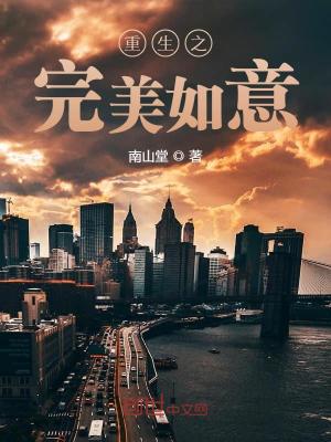 重生之完美如意无错字