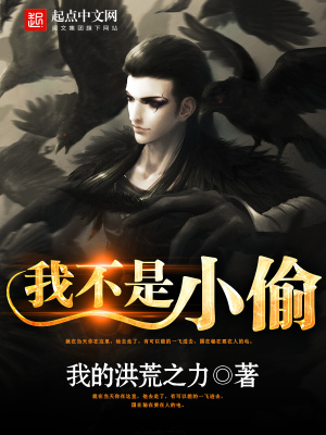 我不是小偷小说