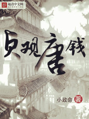 贞观唐钱/小致命txt