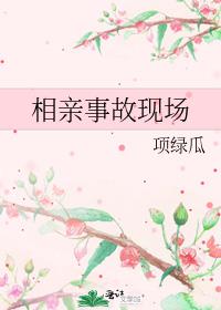 相亲事故现场免费阅读