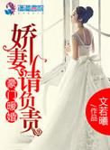 豪门暖婚之娇妻请负责的小说白百度