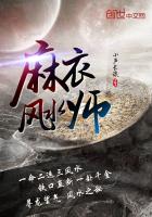 麻衣风水师百度云