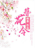 簪花令礼包