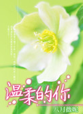 温柔的你国语版叫什么
