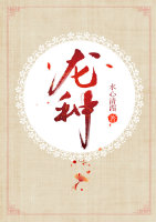龙种石是什么