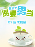 重生之贤妻难当 百度网盘