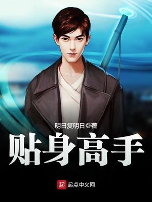 贴身高手小说