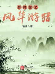 异时空之风华游猎TXT下载
