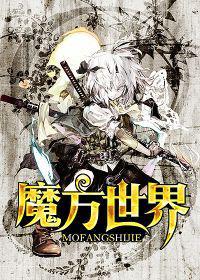 魔方世界纪录用的魔方