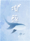 撩鲸讲的什么