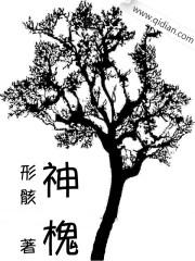 神槐树下中国抗战题材小说丛书