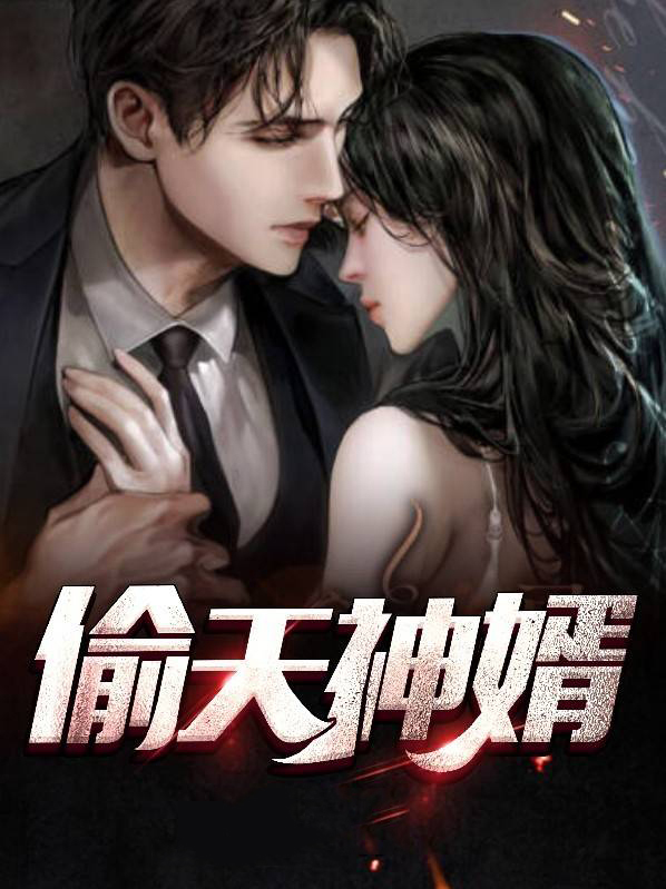 偷天小说