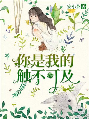 你是我触不可及的梦歌词