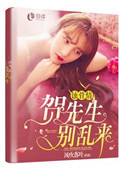 蚀骨情贺,先生别乱来免费阅读