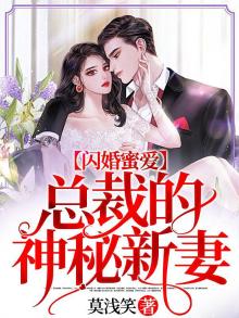闪婚蜜爱:总裁的神秘新妻