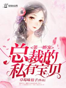 第一婚宠:总裁的私有宝贝免费阅读