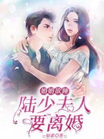 婚婚欲睡:陆少夫人要离婚