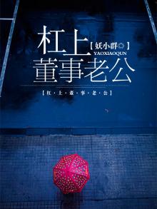 杠上董事老公