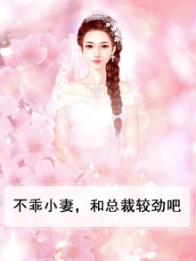 不乖小妻,和总裁较劲吧