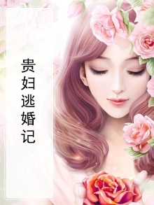 贵妇失踪案