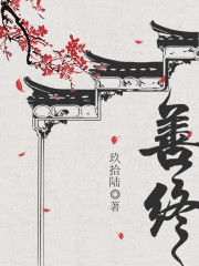 善终全文免费阅读无弹窗无广告