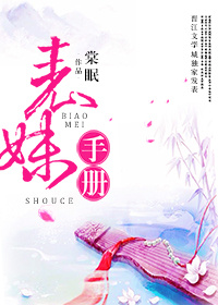 表妹手册小说