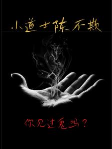 小道士陈不欺下载