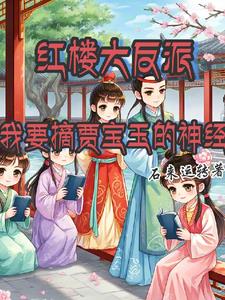 宝玉被打