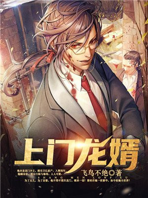 上门龙婿叶辰小说免费阅读完整版