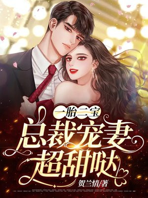 一胎二宝,总裁宠妻无节制