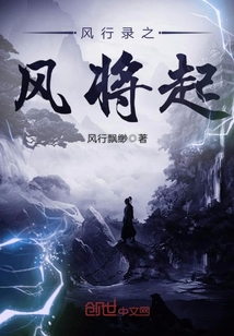 风行录制组