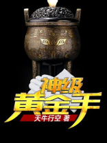 神级黄金手TXT下载网盘