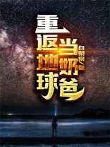 重返地球当奶爸的小说