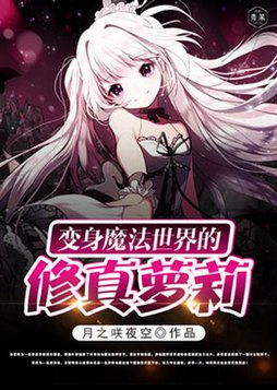 变身为魔法少女的长篇小说