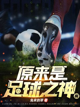 原来是足球之神啊TXT下载