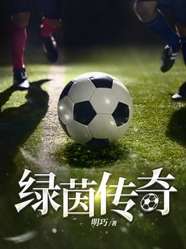绿茵传奇生涯